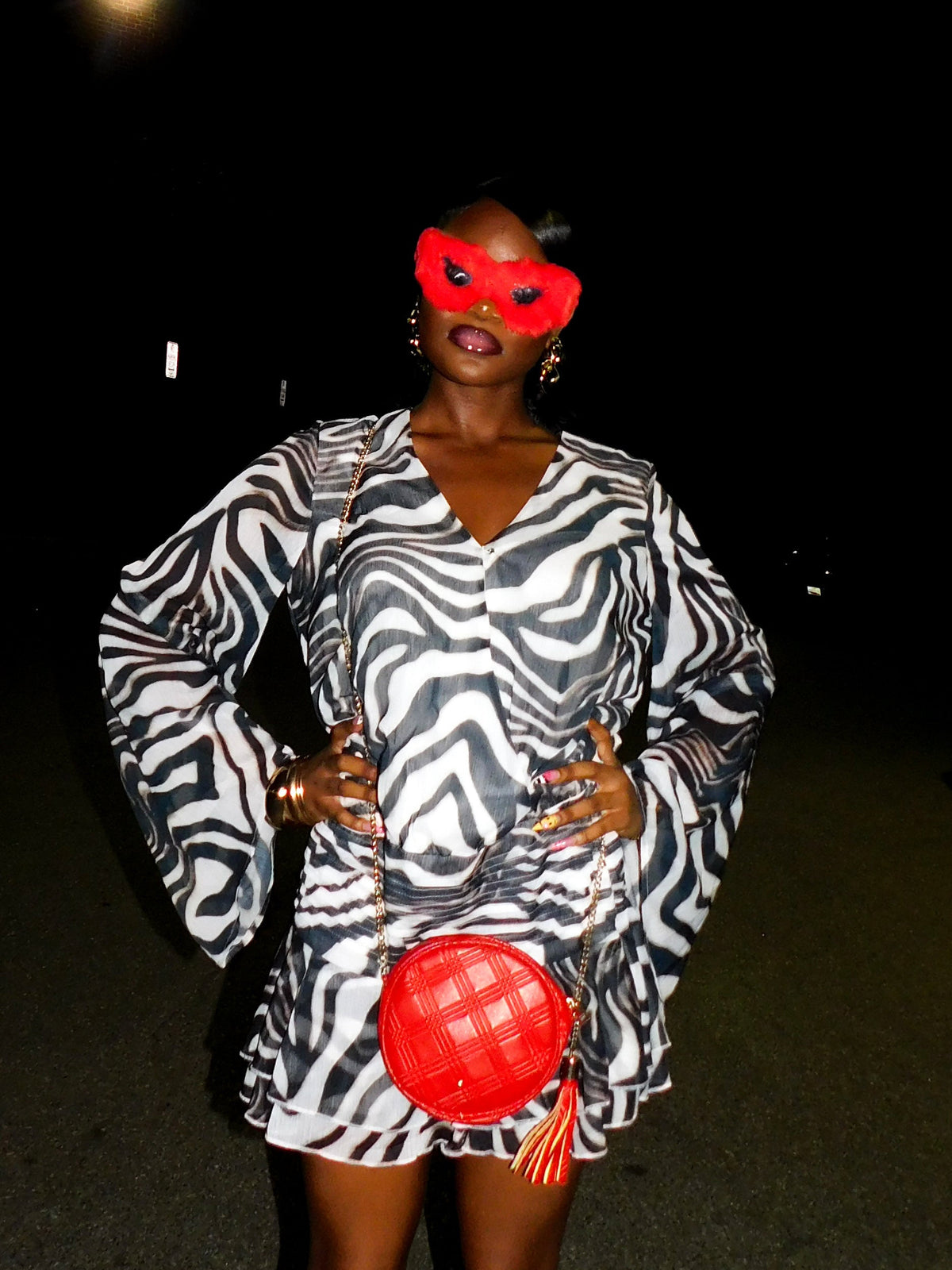 Zima Zebra Print Dress