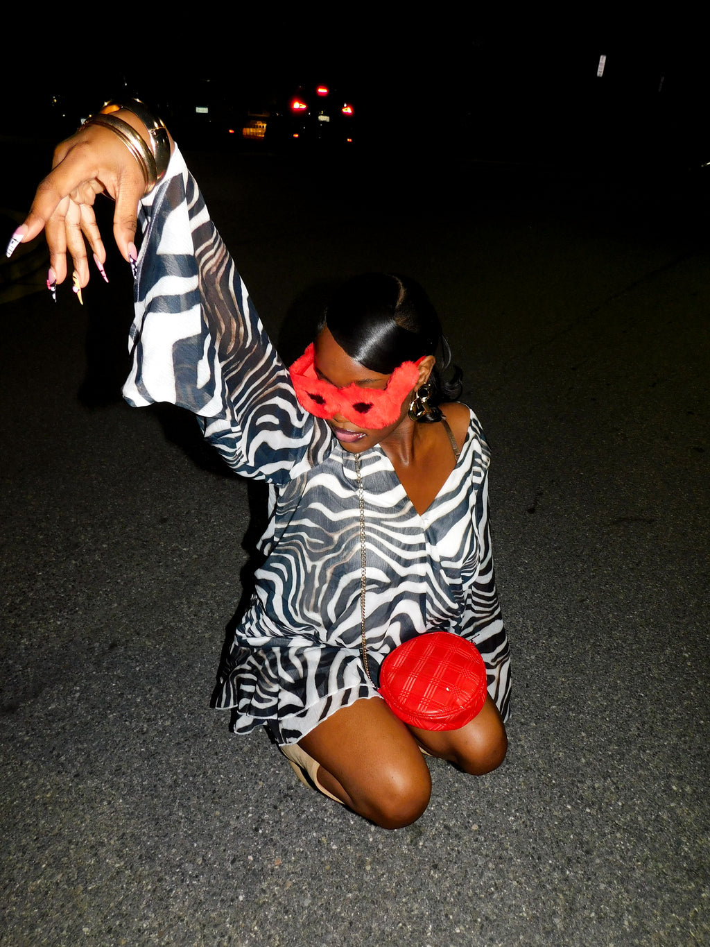 Zima Zebra Print Dress