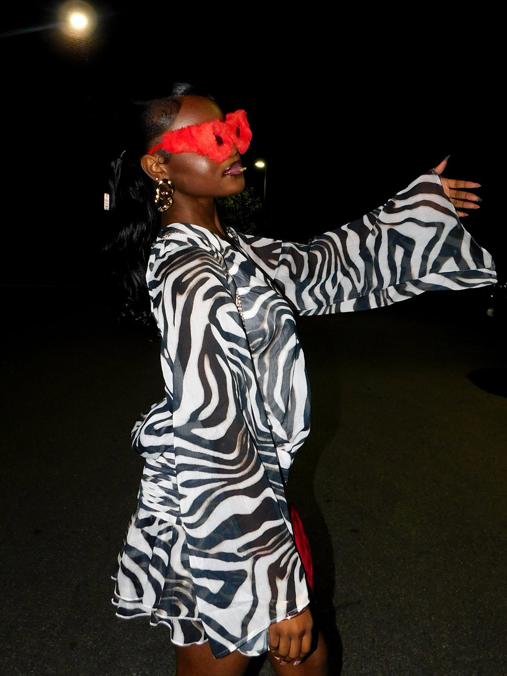 Zima Zebra Print Dress